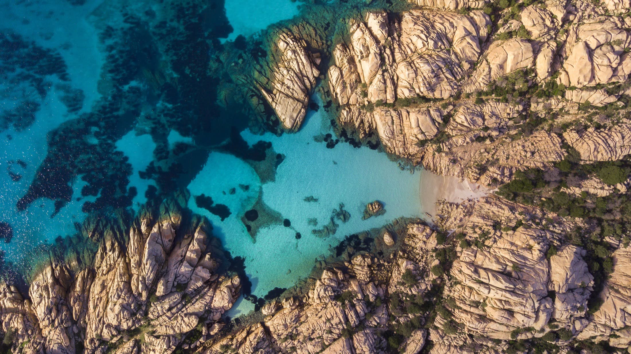Macchia mediterranea e granito nell'Arcipelago di La Maddalena